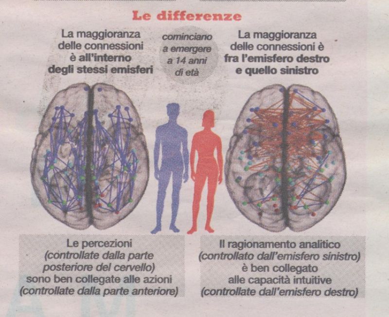 Fig. 1 – Il cervello maschile e femminile in azione: la mappa della connettività cerebrale