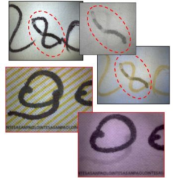 Microscopio